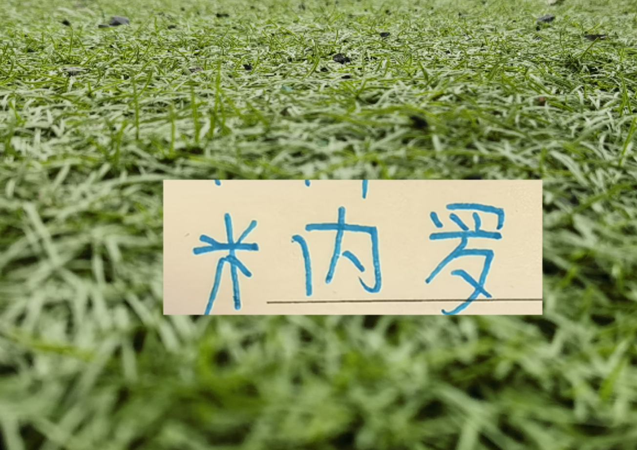 开云体育首页-马纳法五月比赛报销！